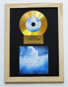 Gold vinyl CDs in an award mount