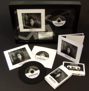 Presentation frame with vinyl CDs and cassettes
